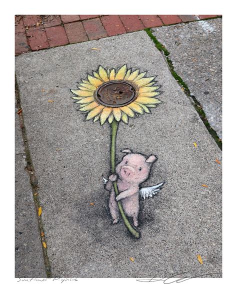 "Sunflower Pigasus" print – street art by david zinn