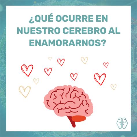 Qu Ocurre En Nuestro Cerebro Cuando Nos Enamoramos Sara Teller