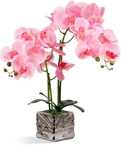 Larksilk Artificial Orchids Real Touch Ultra Realistic Faux Decorative