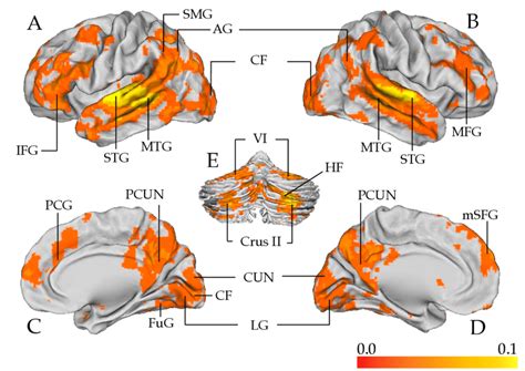 Inter Subject Correlation Isc Of Cortical Activities Related To