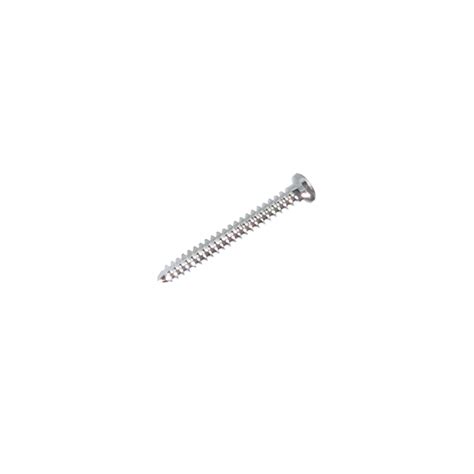 Śruba Micro Screw 1mm 8mm Stoma Quadrostom