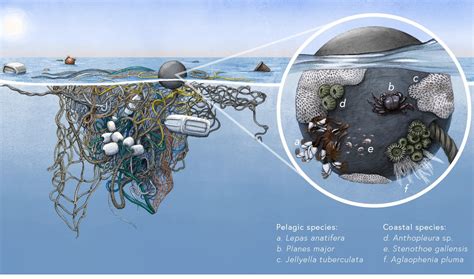 Las islas de plástico