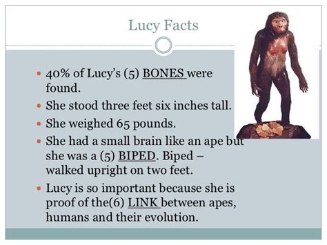 Lucy Presentation