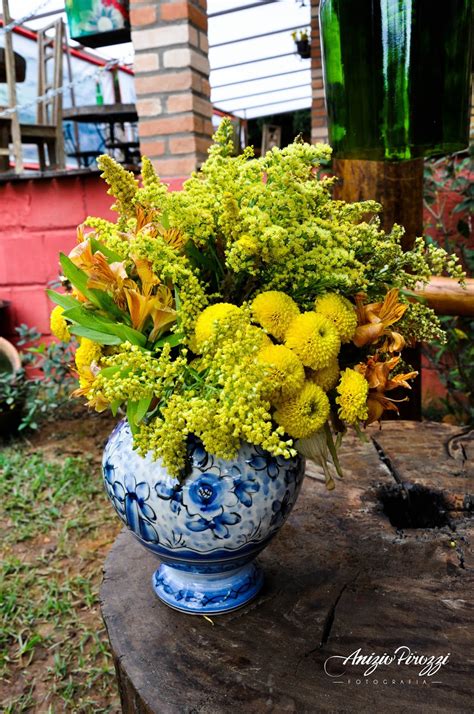 TRIBARTE Flores Para Alegrar O Nosso Dia