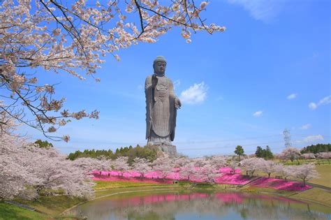 Ushiku Daibutsu The Tallest Bronze Buddha Statue In The World