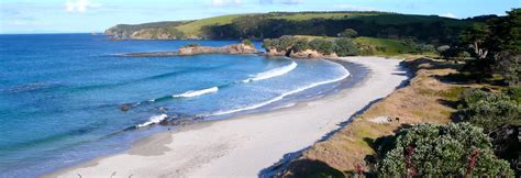 New Zealand's best beaches | 100% Pure New Zealand