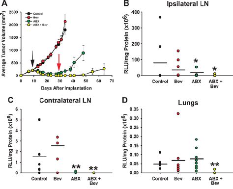 The Effect Of Nab Paclitaxel And Bevacizumab Combination Therapy On