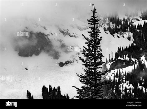 Snow Scene In The Cascade Mountains Of The Pacific Northwest Stock