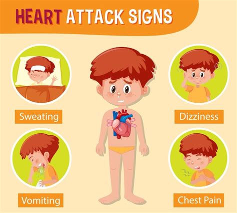 Premium Vector Information Poster Of Human Heart Diagram