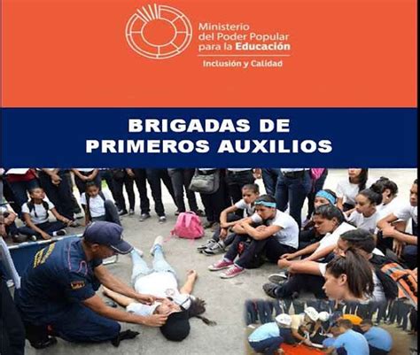 ConformaciÓn De Brigadas De Primeros Auxilios OrganizaciÓn Y Funciones