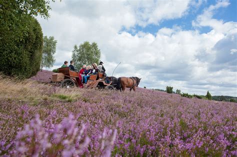 Urlaub L Neburger Heide Kurzurlaub