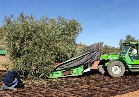 Cooperativas Agro Alimentarias Dedicar Su Asamblea A Renovar Cargos E