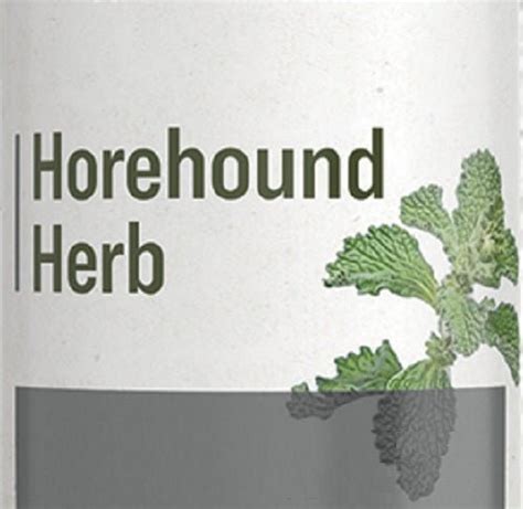 Herbal Supplement Horehound Herb Liquid Extract Tincture Saving