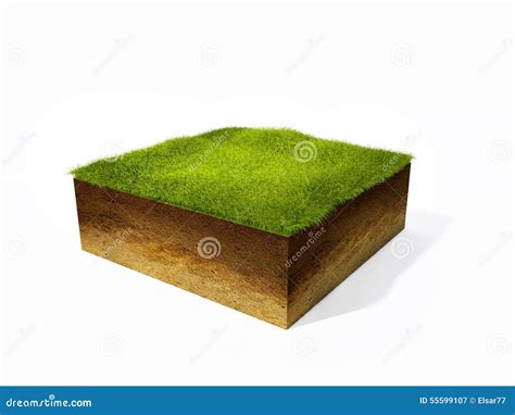 Cross Section Of Ground With Grass Stock Illustration Illustration Of