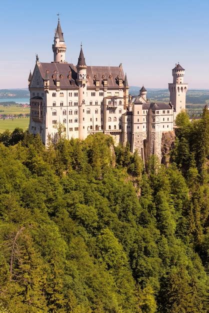 Castillo De Neuschwanstein En El Bosque Alemania Vista Vertical Del