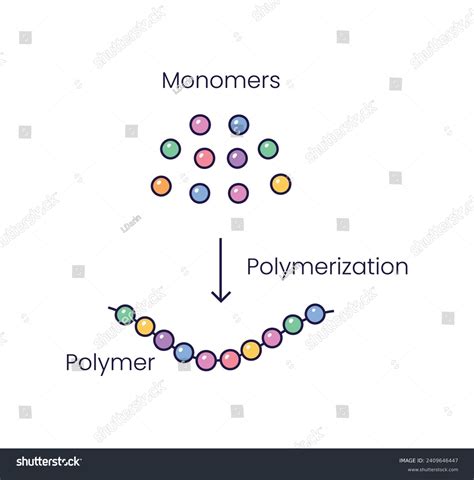 Vector Illustration Polymerization Reaction Conversion Monomers Stock