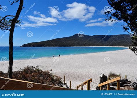 Wineglass Bay White Sand Beach In Tasmania Stock Image Image Of White Sand 131895311