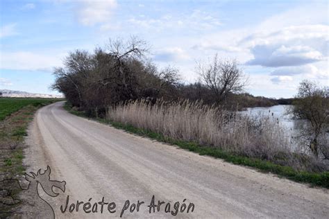 Camino Natural Del Ebro Por La Ribera Alta Jor Ate Por Arag N