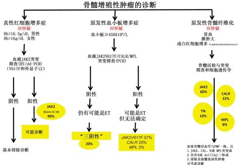 【ajh】原发性血小板增多症的诊断和治疗（2024） Medscicn