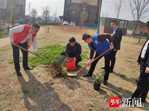 植树的同时，普及环保知识！苏州太平街道洞字社区用党建“37°家”的温情点亮37绿化率活动居民理念