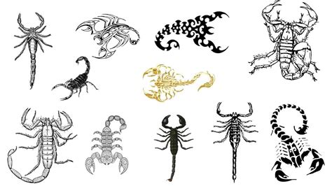 How To Draw Scorpion Tattoo Tattoo Of Scorpion Scorpion Tattoo Design Youtube