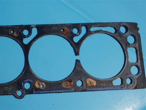 File:Damaged head gasket.jpg - Wikimedia Commons