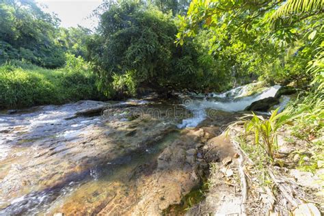 Tropical Hot Spring Stock Image Image Of Relax Valley