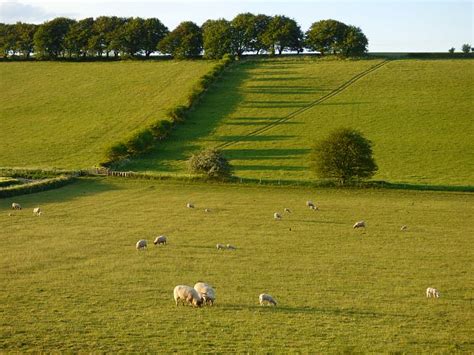 Pasture Ogbourne St Andrew Andrew Smith Cc By Sa Geograph