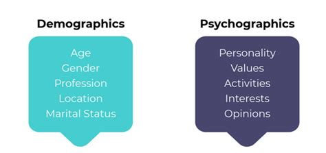 Psychographic Data Definition And Marketing Use Cases