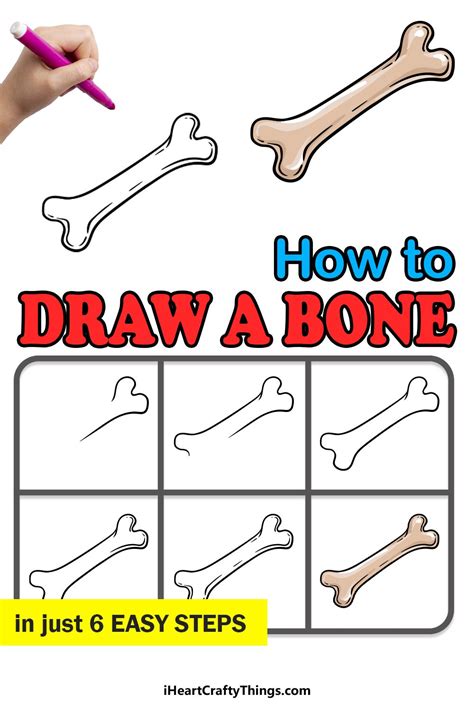 How To Draw A Bone Step By Step Guide