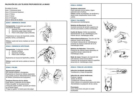 Palpación de los tejido profundos de la mano uDocz