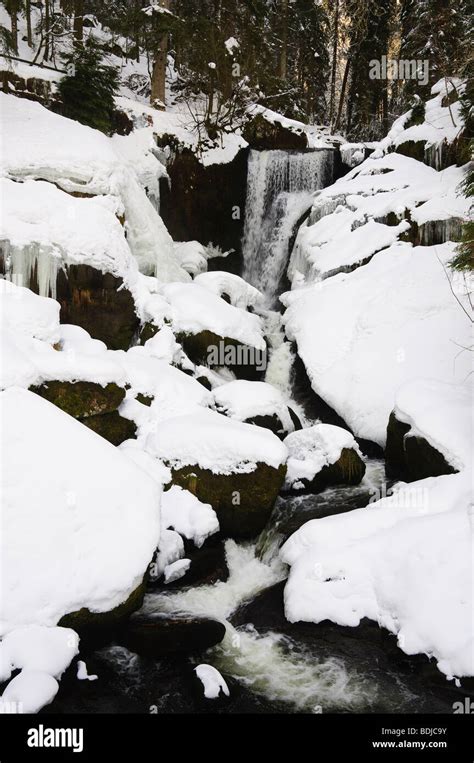 Triberg Waterfalls In Winter Black Forest Baden Wurttemberg Germany