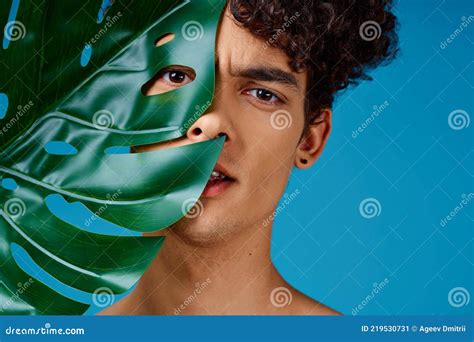 Handsome Man Naked Shoulders Green Leaf Clear Skin Blue Background Stock Image Image Of