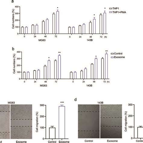 The Role Of Macrophage Derived Exosomes On Osteosarcoma Cell