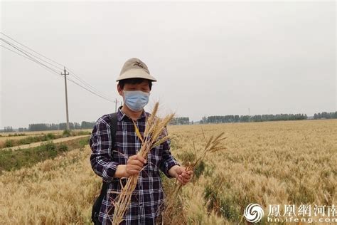 土地托管搭档农业保险新模式，助力农民奔上新“钱”景凤凰网视频凤凰网