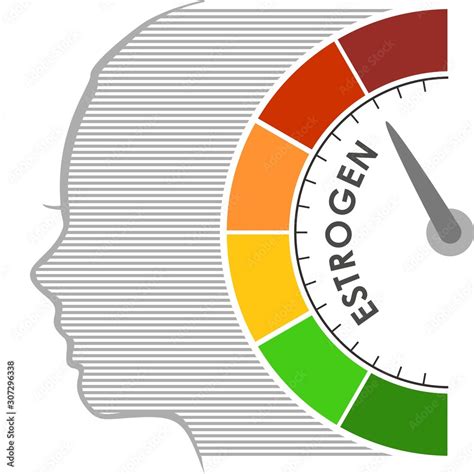 Hormone Estrogen Level Measuring Scale Health Care Concept