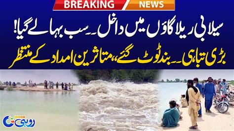 Flood Destruction In South Punjab Dams Broke Breaking News Rohi