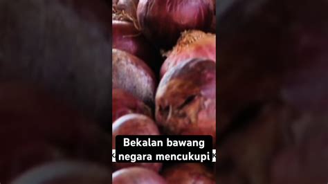 Bekalan Bawang Negara Mencukupi Awaninews Youtube