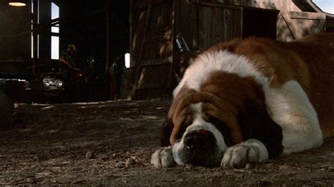 Cujo (1983) | MUBI