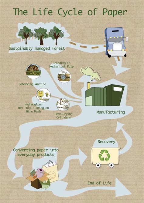 Infographic The Life Cycle Of Paper By Haly Lai Life Cycles Life Paper