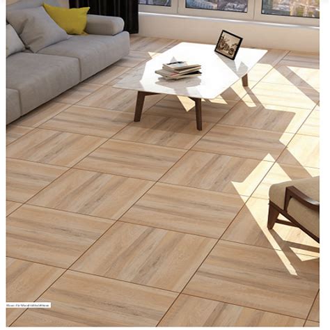 Matt Rak Ceramic Floor Tile 2x2 Ft 600x600 Mm Usage Area Living