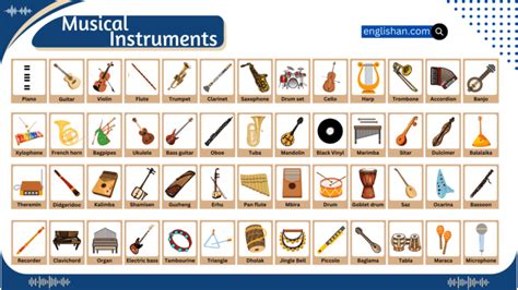 Musical Instruments Names With Infographics