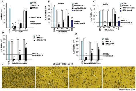 Ptx And Primed Hmscsptx Inhibit Ecs Proliferation In Vitro Ptx