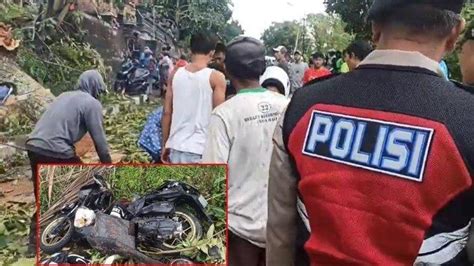 Kronologi Kecelakaan Maut Pengendara Sepeda Motor Tewas Tertimpa Pohon