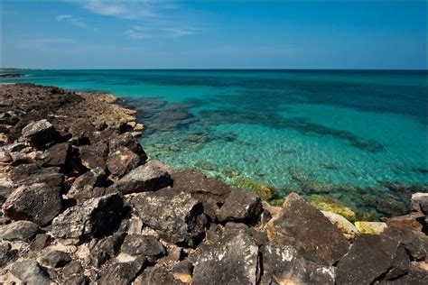 Torre Guaceto beach, Brindisi. Nature Reserve of Torre Guaceto (6 km ...