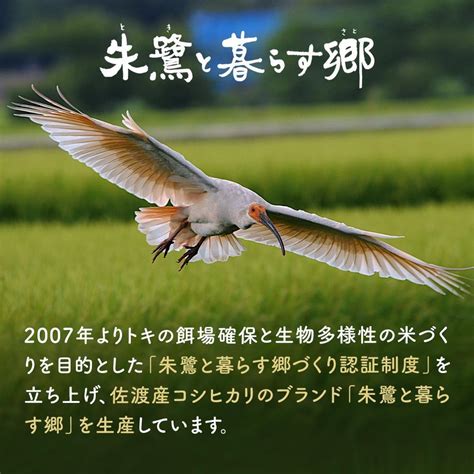 佐渡産コシヒカリ朱鷺と暮らす郷 レンジアップごはん 150g×20個 新潟県佐渡市 Jre Mallふるさと納税