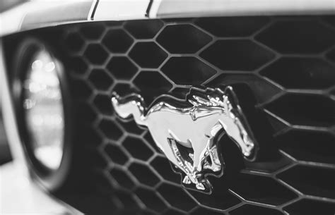 Mustang Logo Wallpaper Black