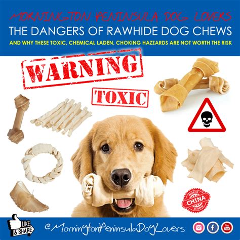 RAWHIDE BONES SAFETY WARNING - PET PEEVES UNMASKED