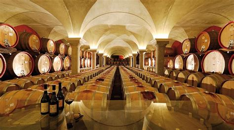 Wine tourism master, an Italian winery unlike any other