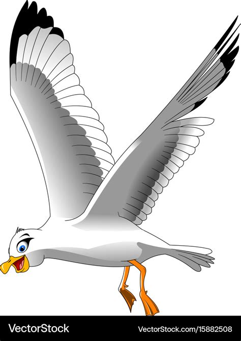 Seagull Royalty Free Vector Image VectorStock